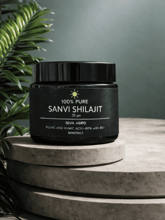 SANVI 100% Pure Shilajit Resin β Premium Wellness Supplement